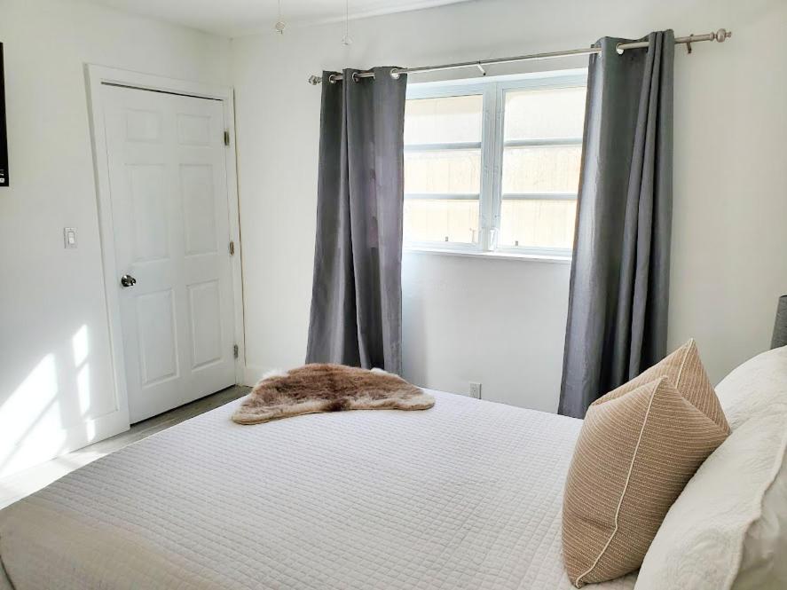 Stylish & Newly-Renovated Suites Near Las Olas Fort Lauderdale Exteriör bild
